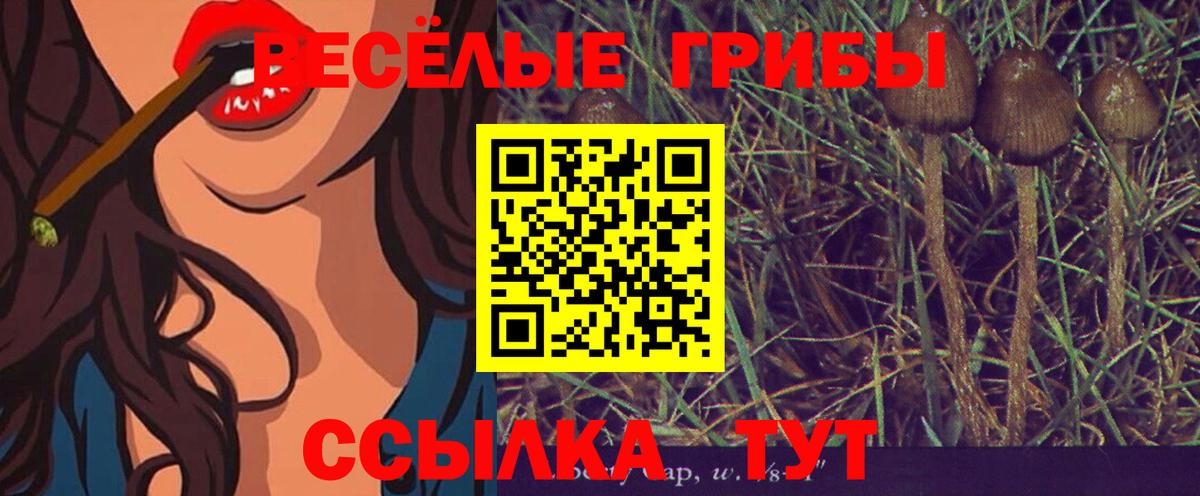 Белово  Псилоцибиновые грибы ЛСД  Вход с VPN 